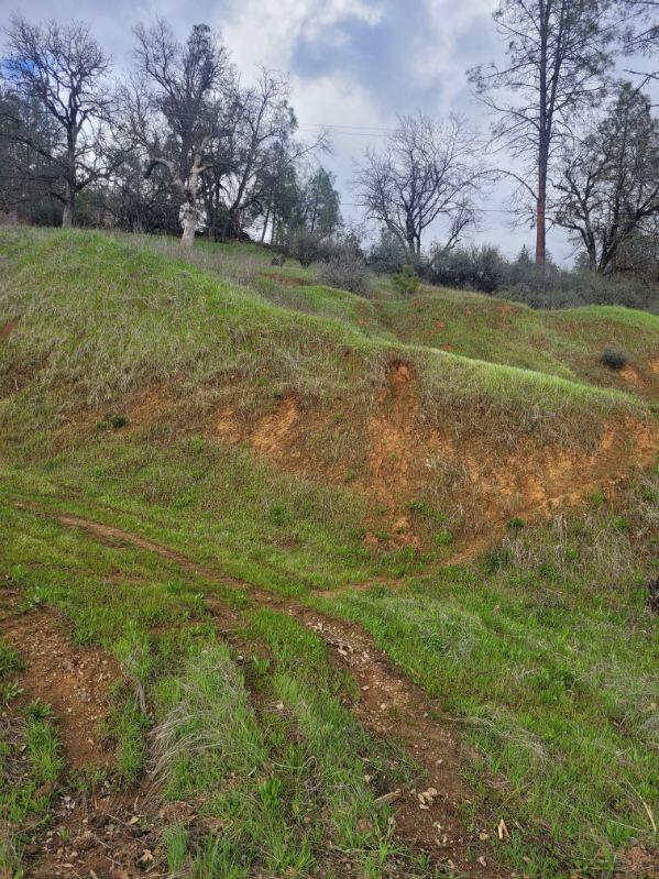 7541 Rush Creek Road Lewiston, CA 96052 - Photo 19 of 21 image000004
