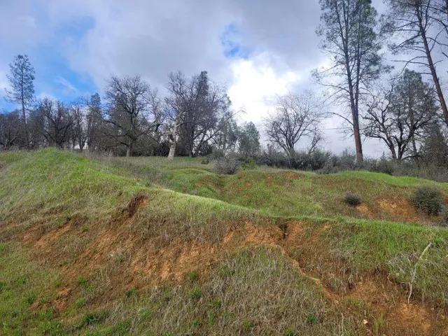 a view of a field with trees