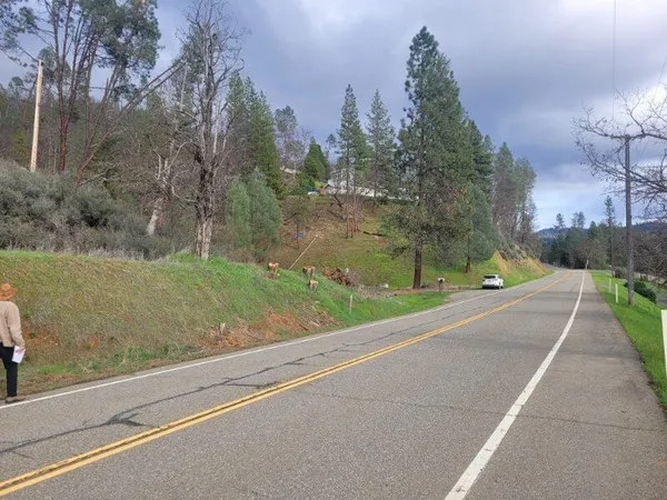 $34,950 | 7541 Rush Creek Road, Lewiston, CA 96052