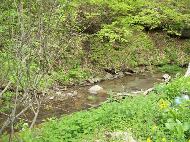 140 Daugherty Run Road Warren, PA 16365 - Photo 3 of 16 Gallery Image 3