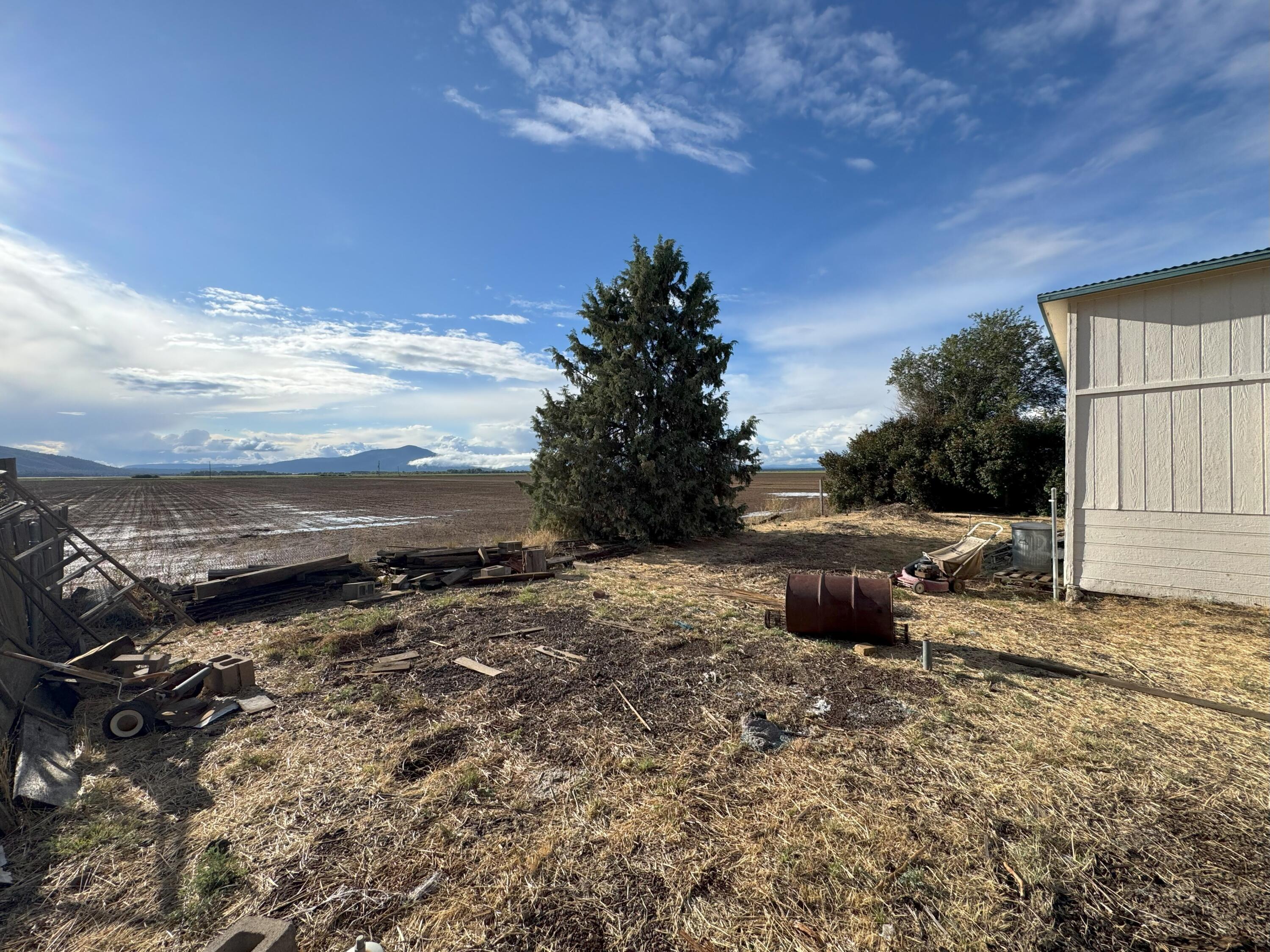 25991 Cir Bell Road Fall River Mills, CA 96028 - Photo 51 of 61 a view of a backyard of the house