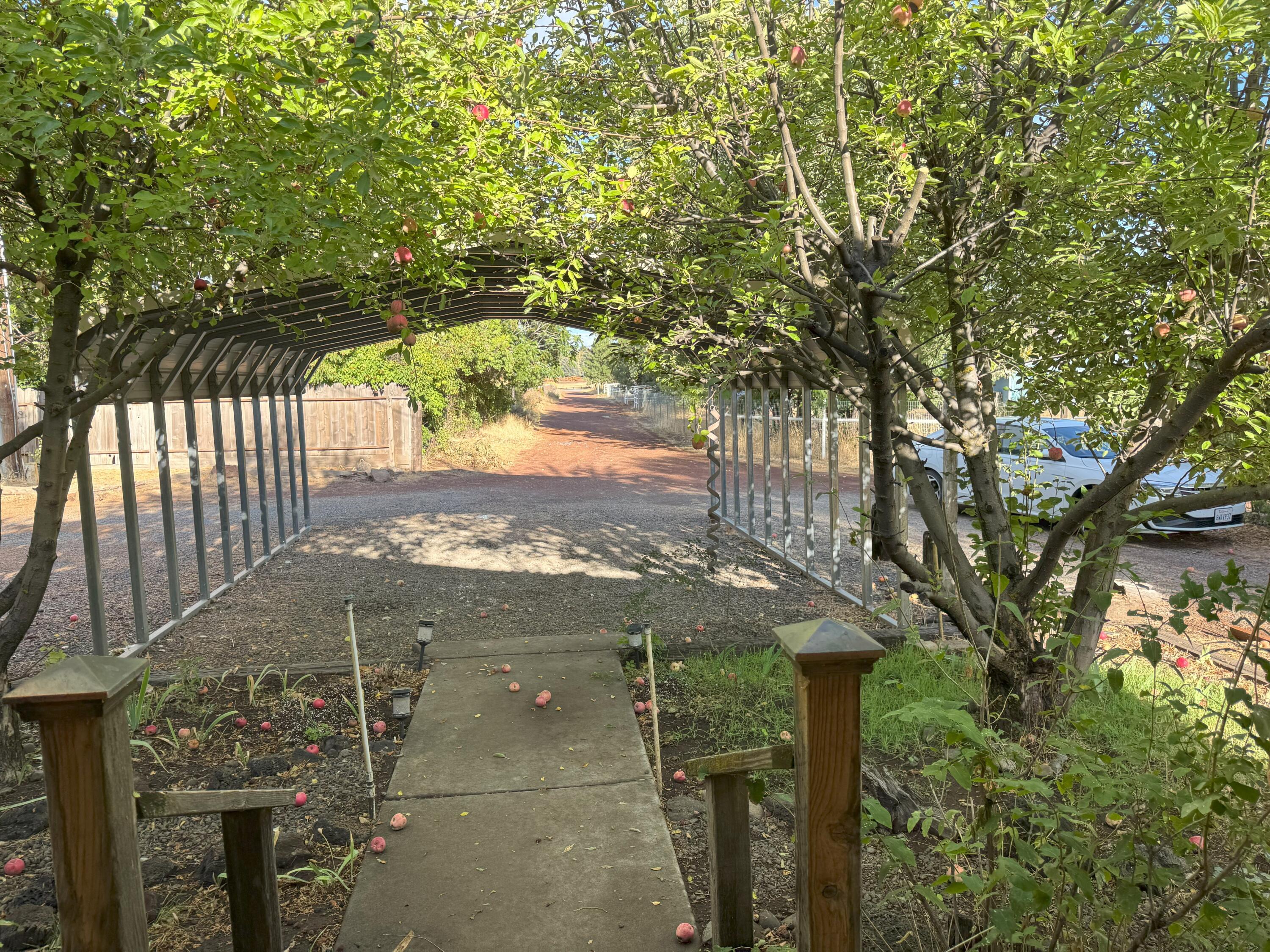 25991 Cir Bell Road Fall River Mills, CA 96028 - Photo 61 of 61 20250911_002751189_iOS