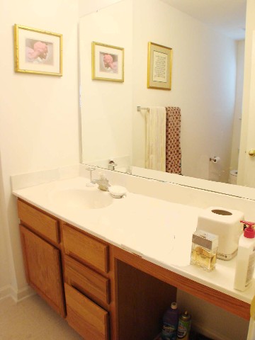 224 Spring Crossing Circle Greer, SC 29650 - Photo 7 of 9