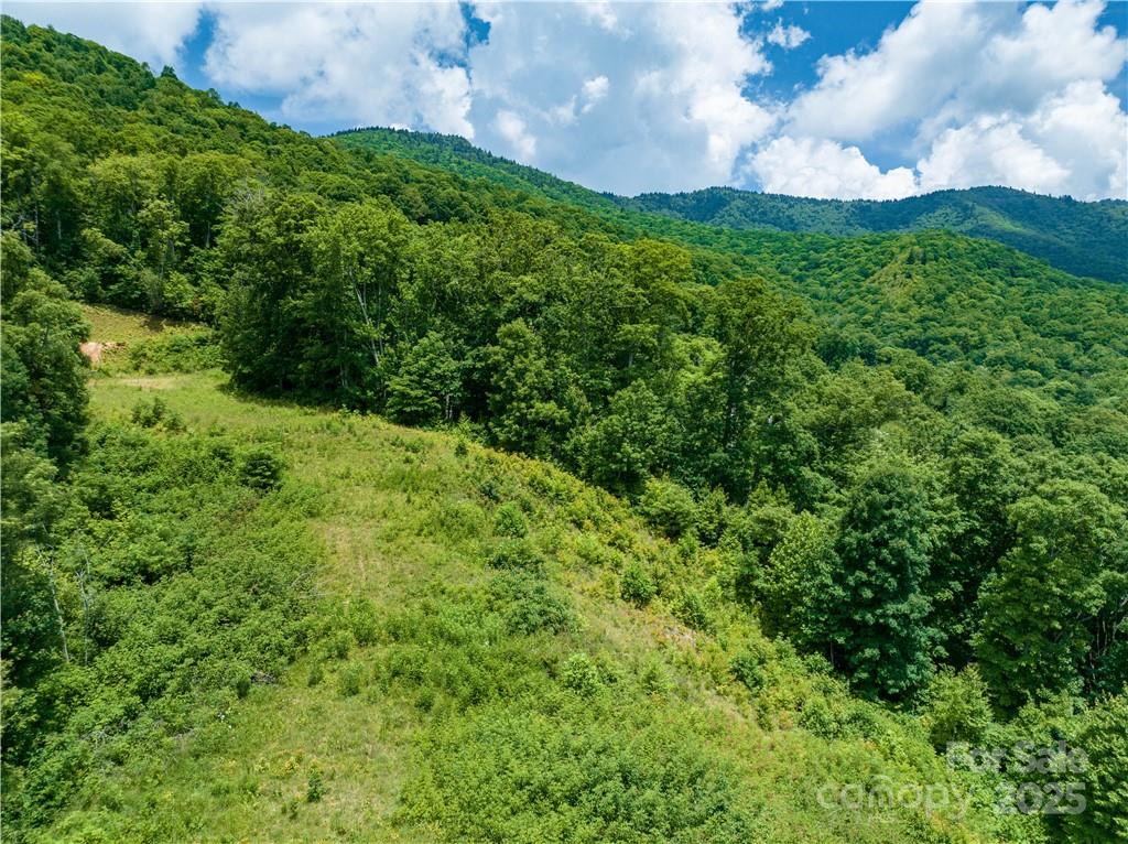 3867 Parris Branch Road, Unit TRACT B Sylva, NC 28779 - Photo 12 of 12 a view of a big yard with plants and a large tree