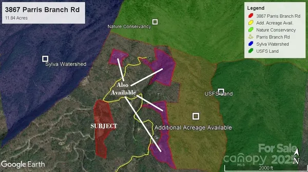 a view of a yard with plants and a bench