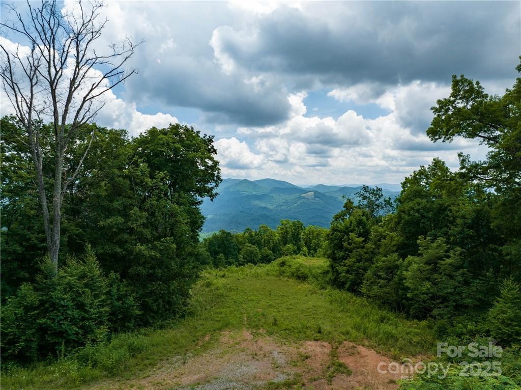 3867 Parris Branch Road, Unit TRACT B Sylva, NC 28779 - Photo 5 of 12 a view of a city with lush green forest