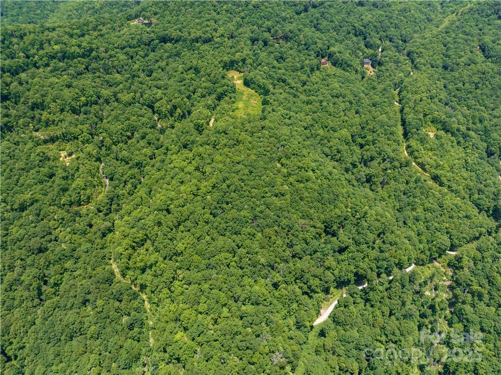 3867 Parris Branch Road, Unit TRACT B Sylva, NC 28779 - Photo 7 of 12 a view of a lush green forest