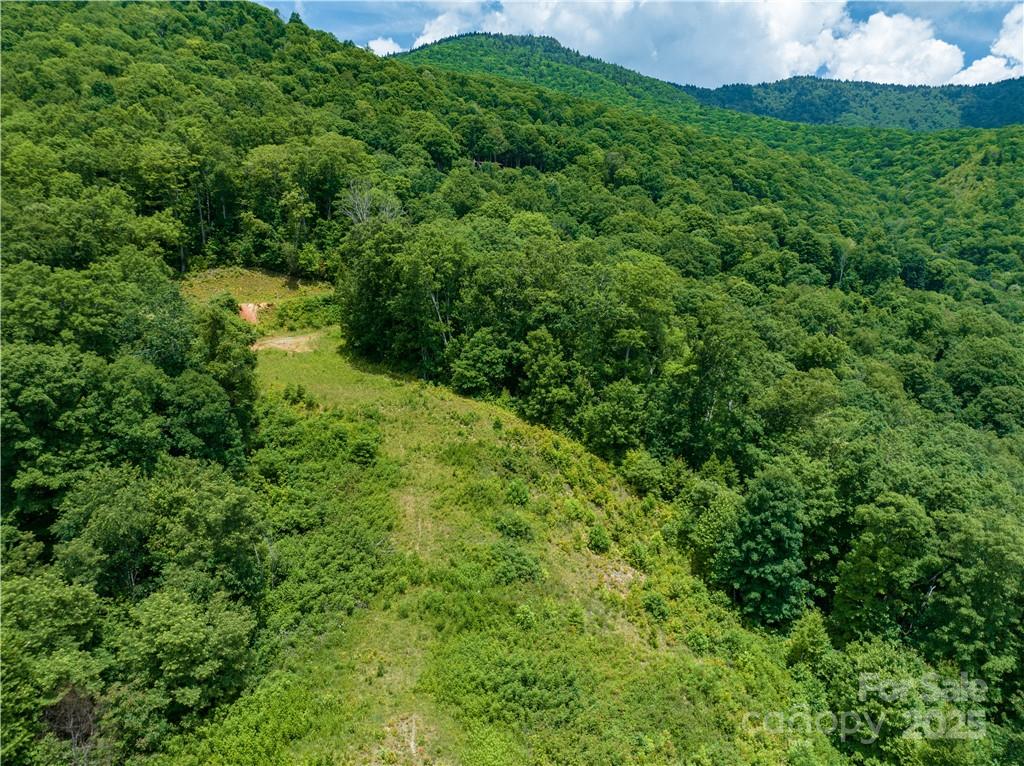 3867 Parris Branch Road, Unit TRACT B Sylva, NC 28779 - Photo 9 of 12 a view of a lush green forest