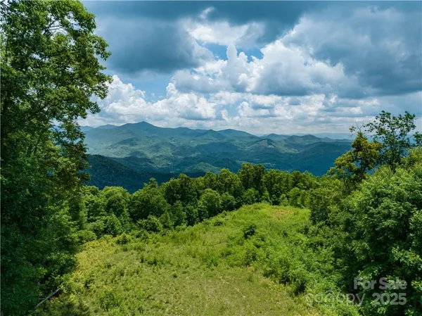 a view of a lake with lots of green space