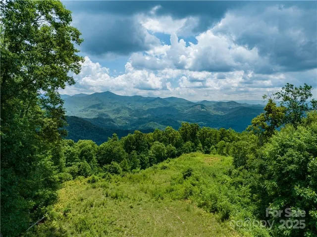 a view of a lake with lots of green space