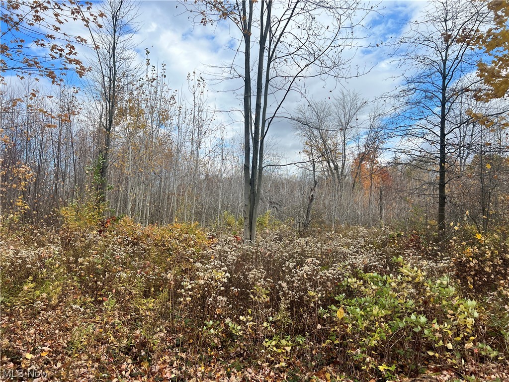 6 Us Route Pierpont, OH 44082 - Photo 8 of 32 View of nature