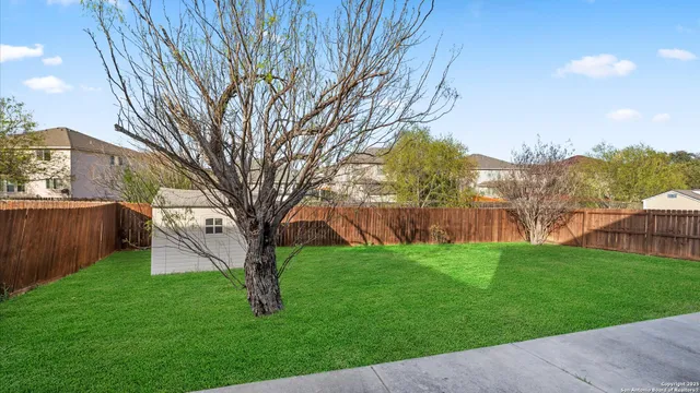 a view of backyard with tree