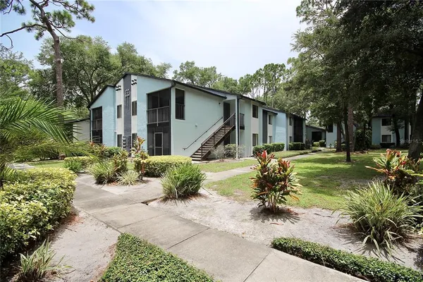 a white house that has a tree in front of it