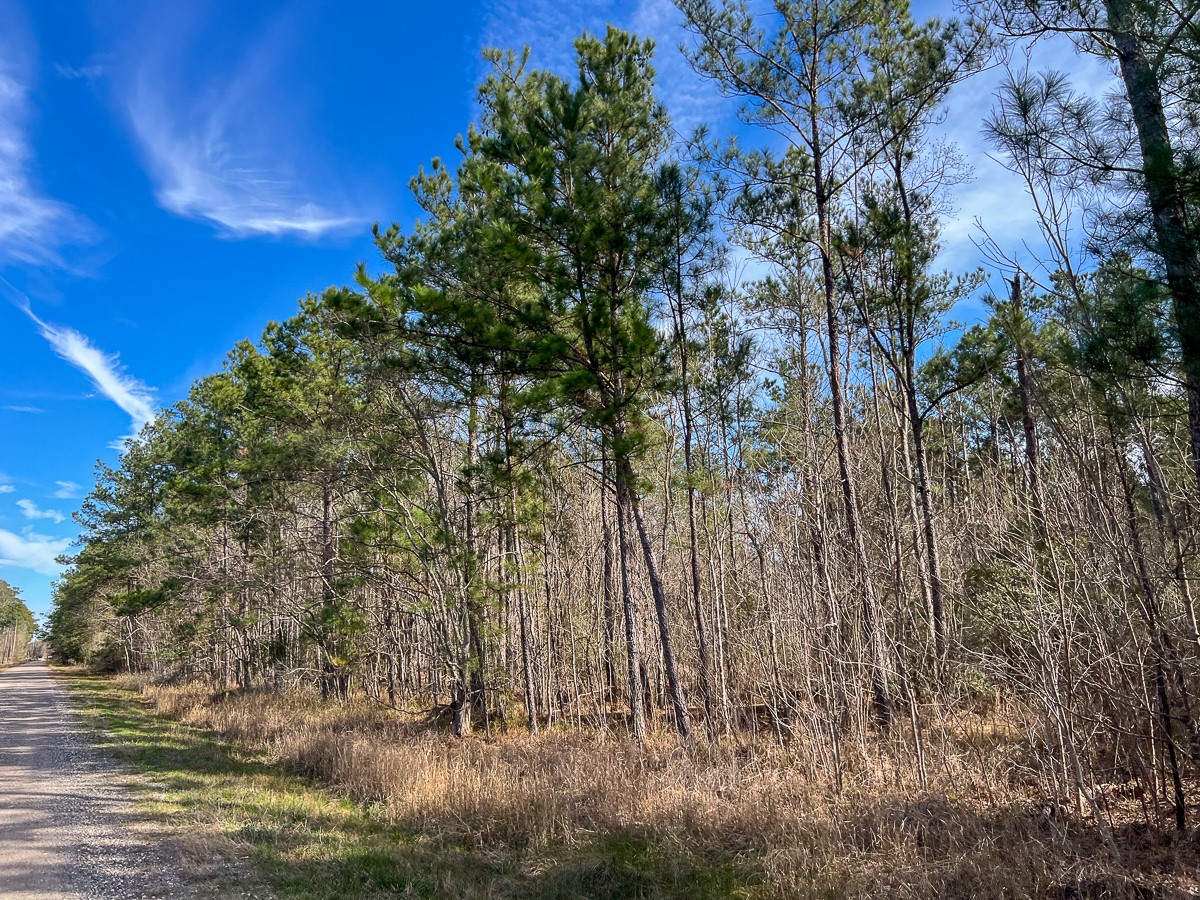 T-2 T-2 Zavalla Road Orange, TX 77632 - Photo 6 of 9 a view of a lake