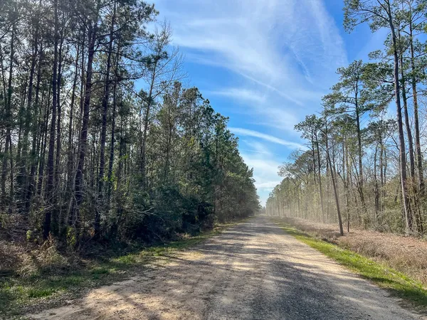 $108,500 | T-2 T-2 Zavalla Road, Orange, TX 77632
