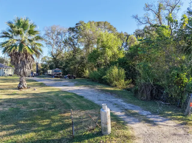 a view of backyard with tree