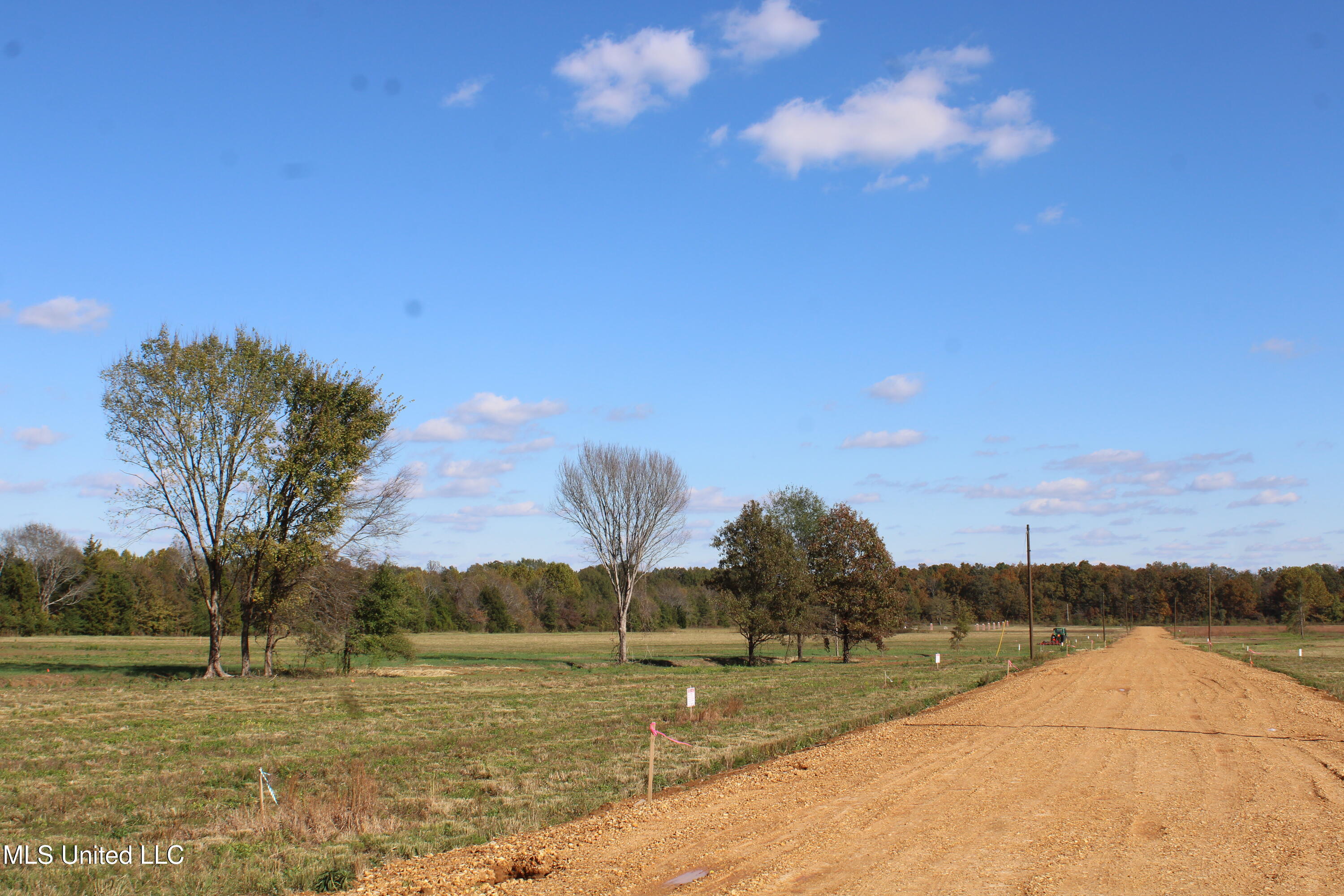 33 Pin Oak Road Michigan City, MS 38647 - Photo 13 of 22 IMG_6909