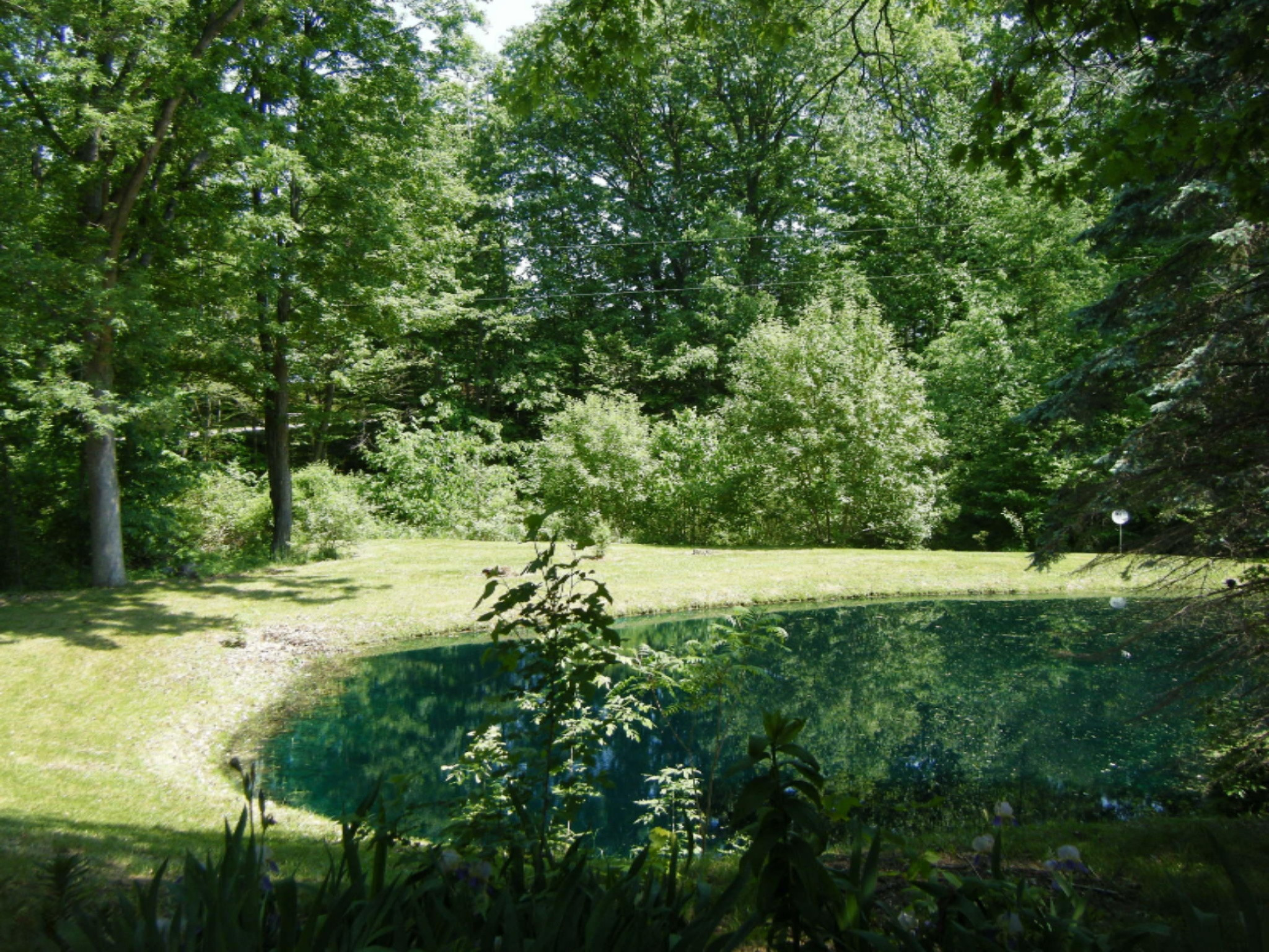 5101 Long Lake Road Reading, MI 49274 - Photo 20 of 23 36