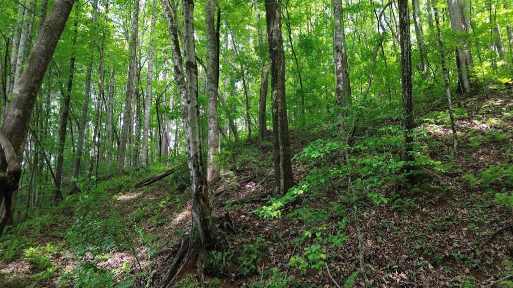 115 Calvender Road Turtletown, TN 37391 - Photo 1 of 23
