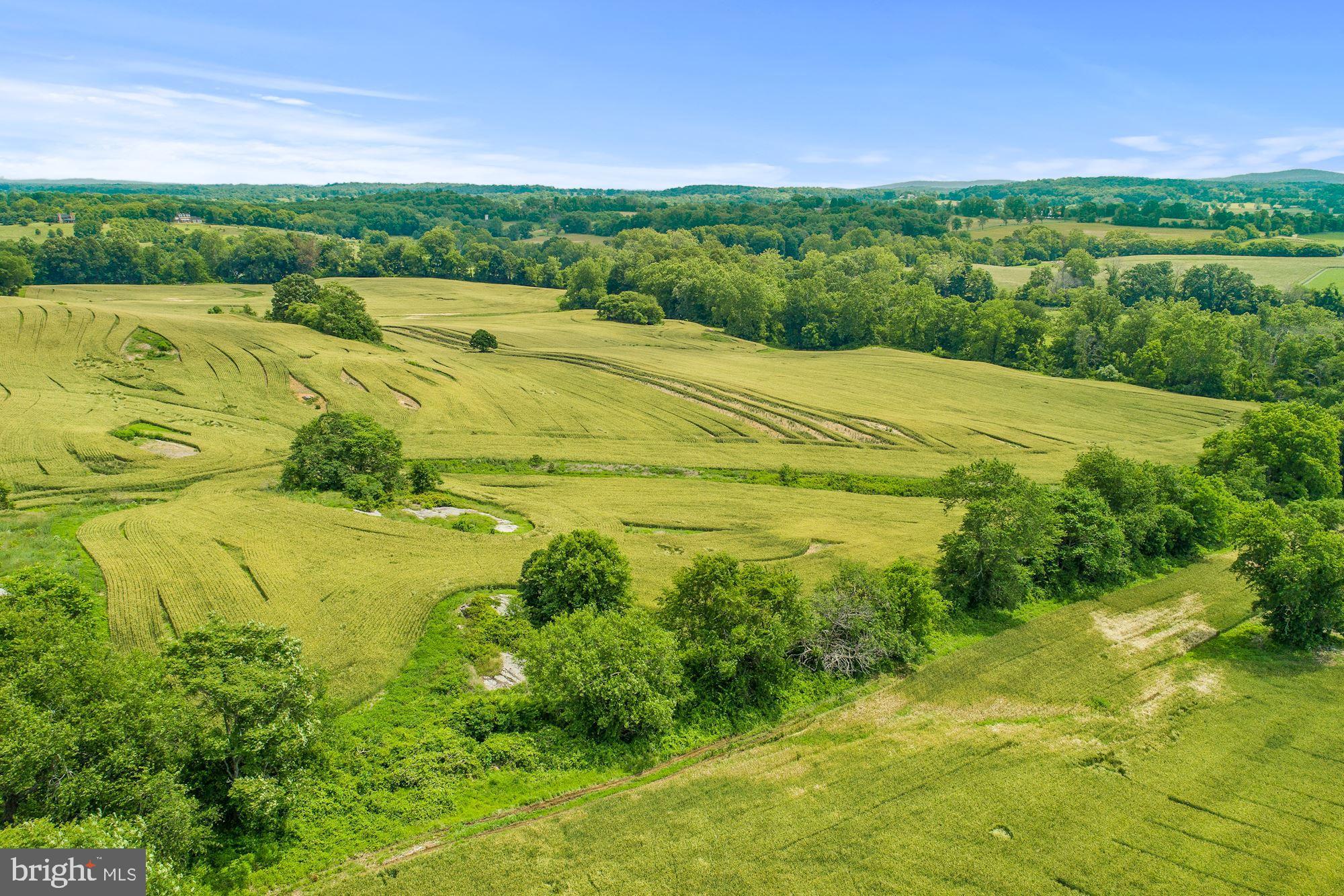 8160 Frogtown Road Marshall, VA 20115 - Photo 11 of 34 a view of an outdoor space and a lake view