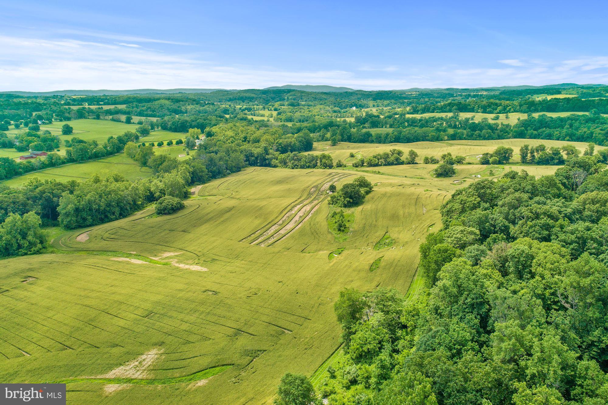 8160 Frogtown Road Marshall, VA 20115 - Photo 13 of 34 a view of outdoor space with mountain view