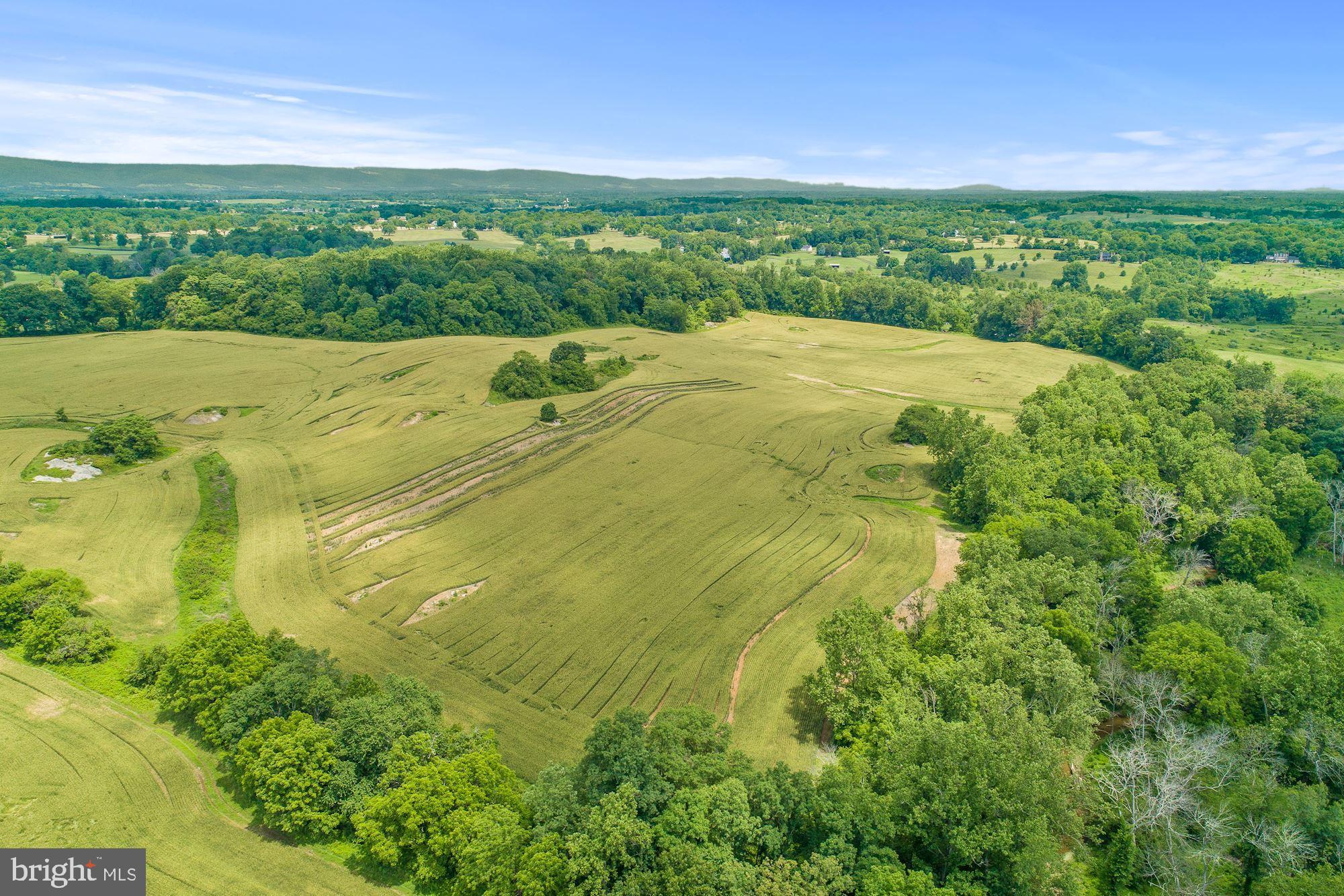 8160 Frogtown Road Marshall, VA 20115 - Photo 19 of 34 a view of an outdoor space and a yard