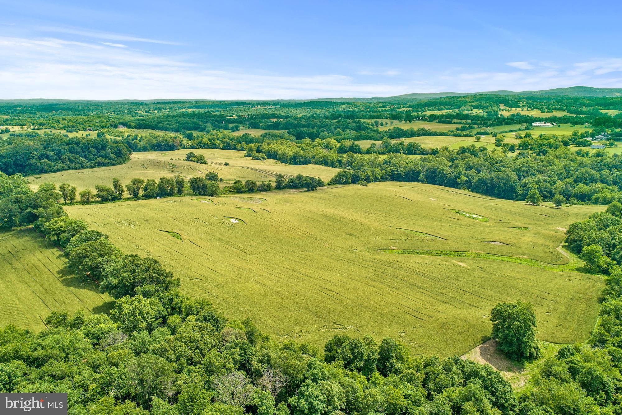 8160 Frogtown Road Marshall, VA 20115 - Photo 20 of 34 a view of an outdoor space and a lake view
