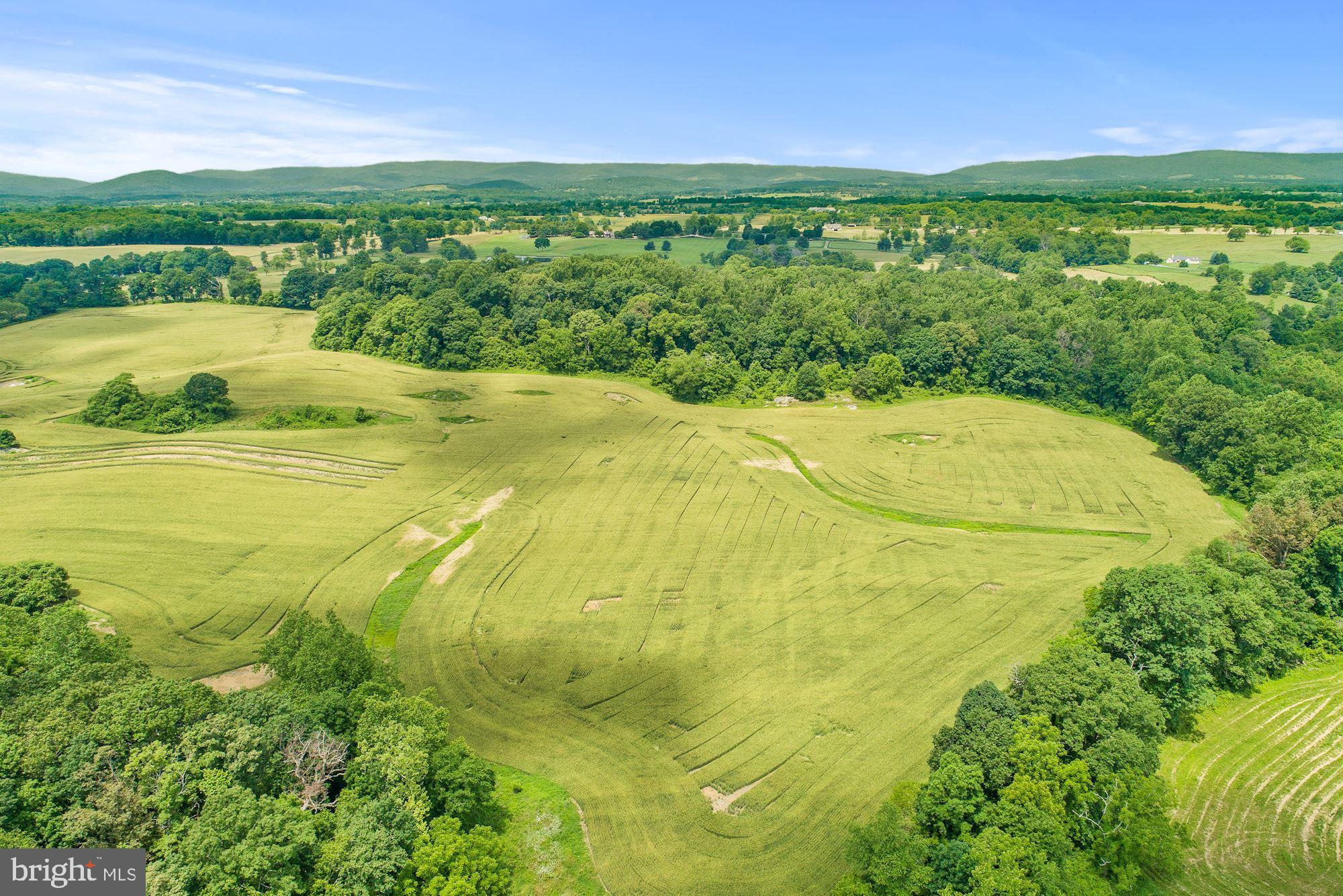 8160 Frogtown Road Marshall, VA 20115 - Photo 24 of 34