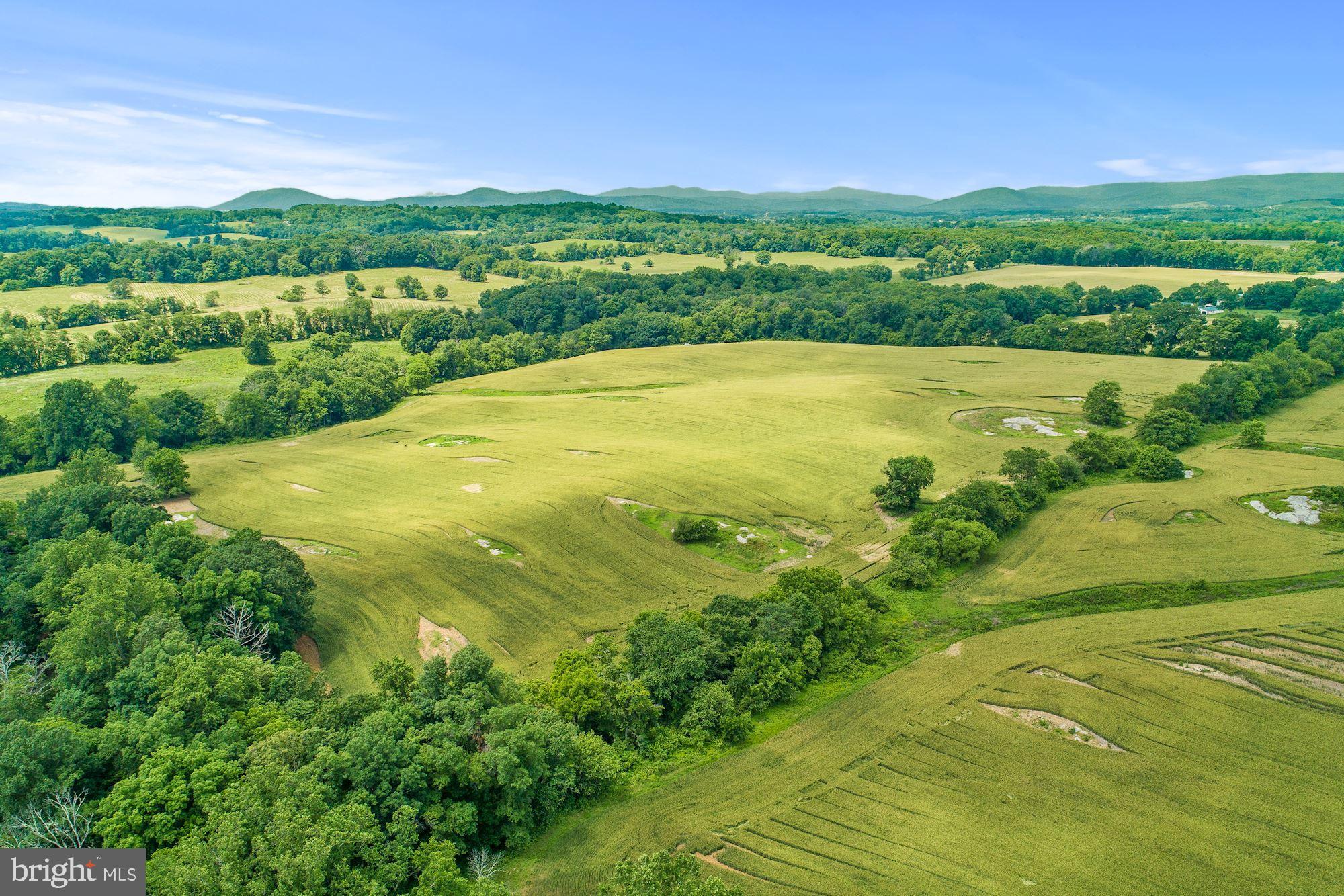 8160 Frogtown Road Marshall, VA 20115 - Photo 26 of 34 a view of a field with an ocean view