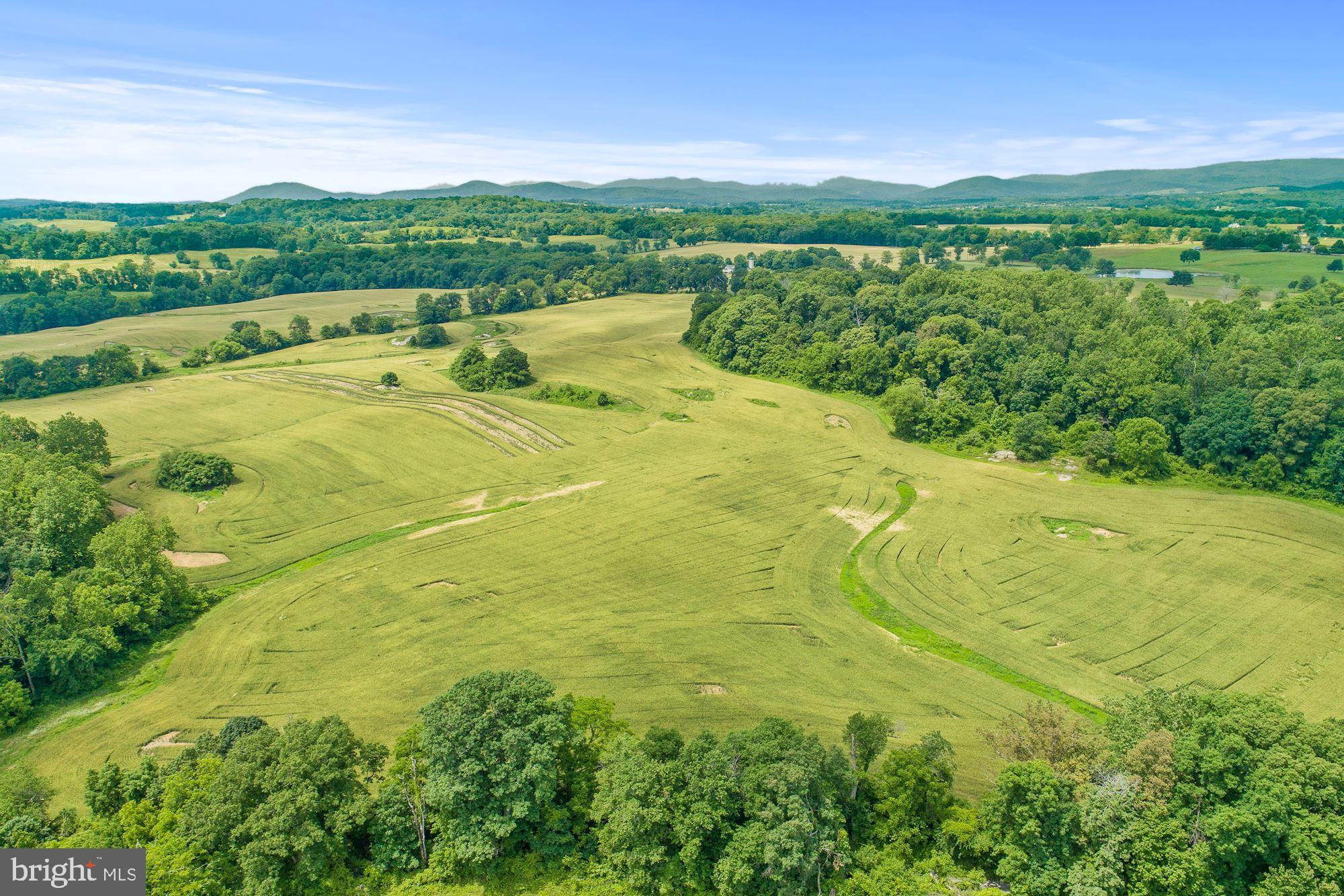 8160 Frogtown Road Marshall, VA 20115 - Photo 28 of 34 a view of outdoor space and yard