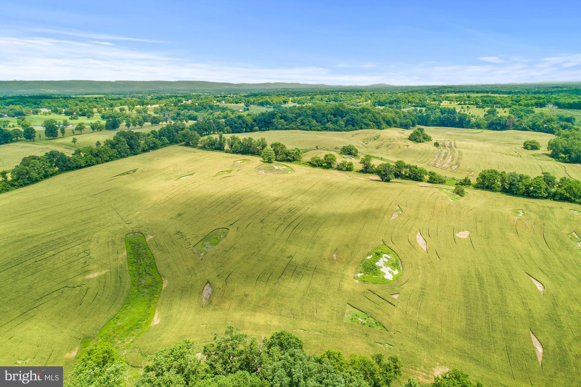 8160 Frogtown Road Marshall, VA 20115 - Photo 29 of 34 a view of an outdoor space and a lake view