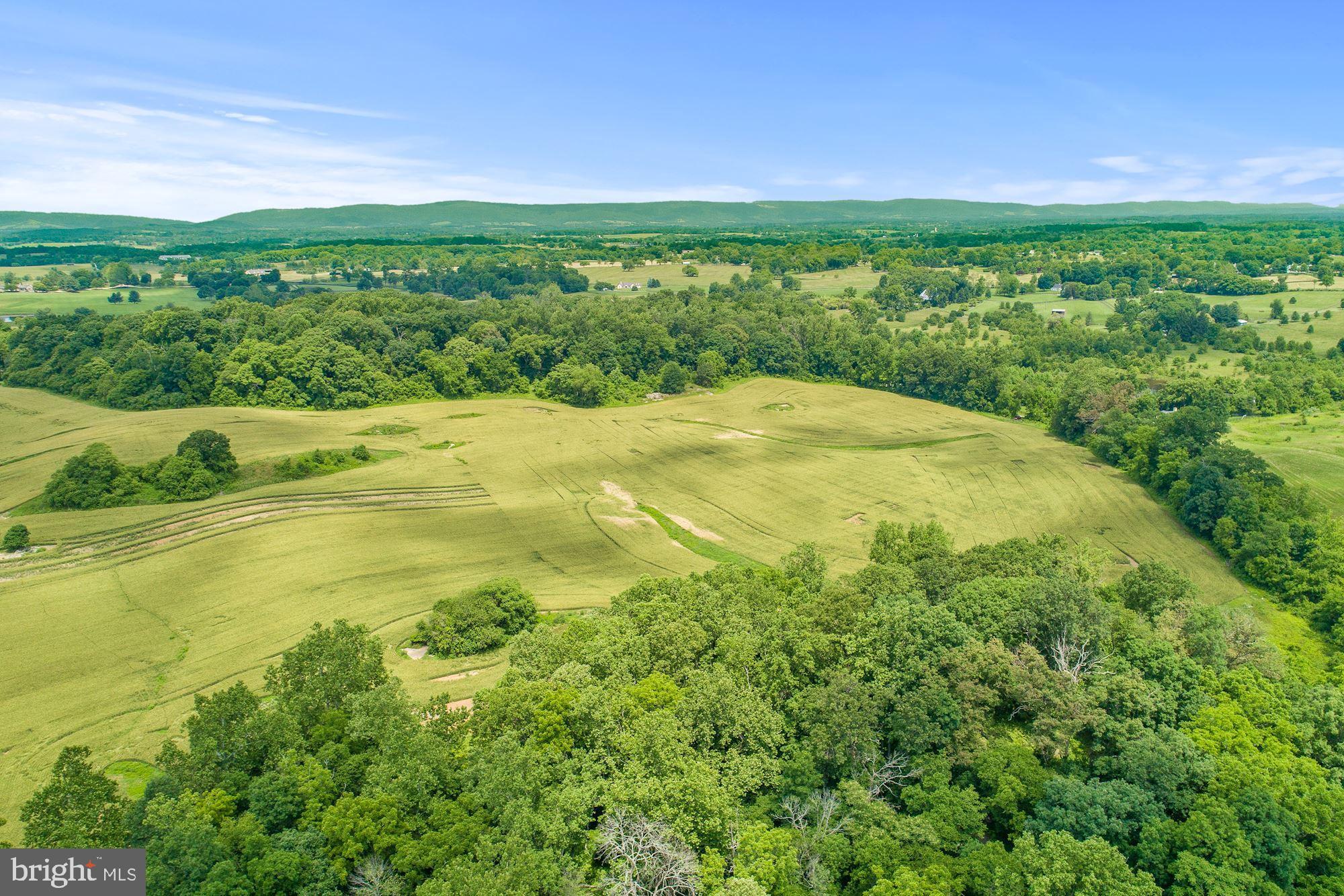 8160 Frogtown Road Marshall, VA 20115 - Photo 31 of 34 a view of a field with an ocean