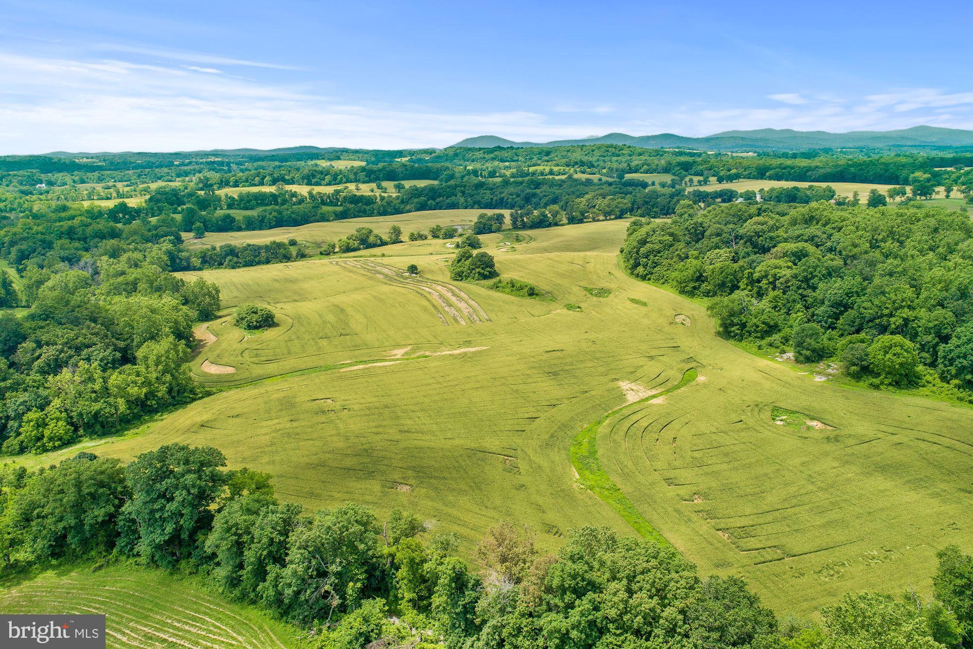 8160 Frogtown Road Marshall, VA 20115 - Photo 33 of 34 a view of an outdoor space and a yard