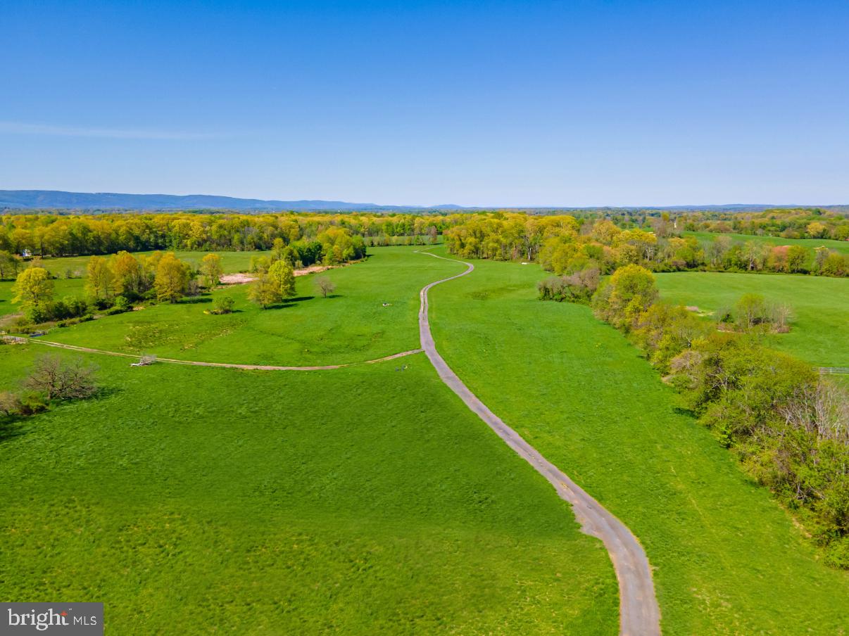 8160 Frogtown Road Marshall, VA 20115 - Photo 9 of 34 a view of a field with clear sky