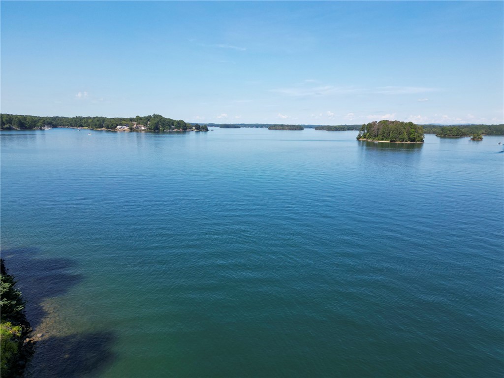 305 Wynswept Point Seneca, SC 29672 - Photo 6 of 49