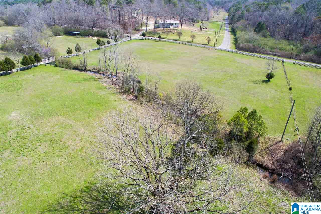 1701 Red Valley Road Remlap, AL 35133 - Photo 45 of 50