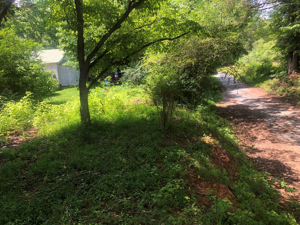 140 Old Copperhill Road Blue Ridge, GA 30513 - Photo 3 of 12 Gallery Image 3