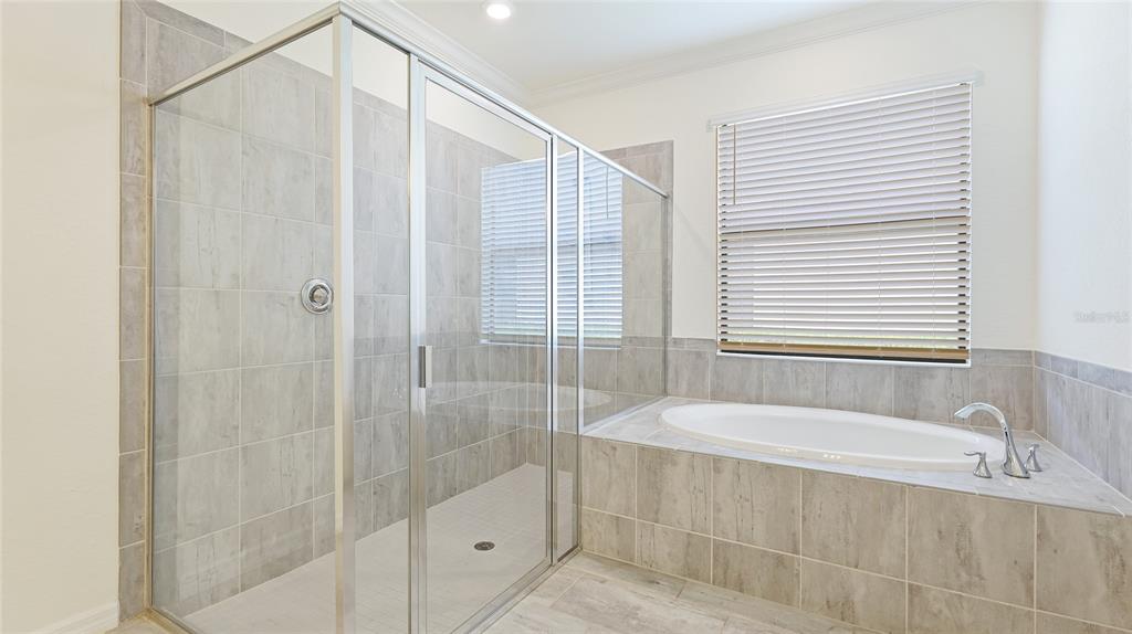 17311 Blue Ridge Place Bradenton, FL 34211 - Photo 20 of 55 a bathroom with a bathtub and a shower