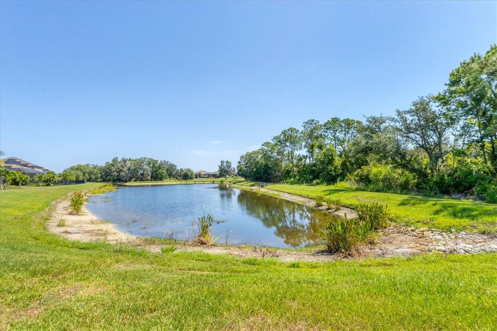 17311 Blue Ridge Place Bradenton, FL 34211 - Photo 38 of 55 a view of a lake with a big yard