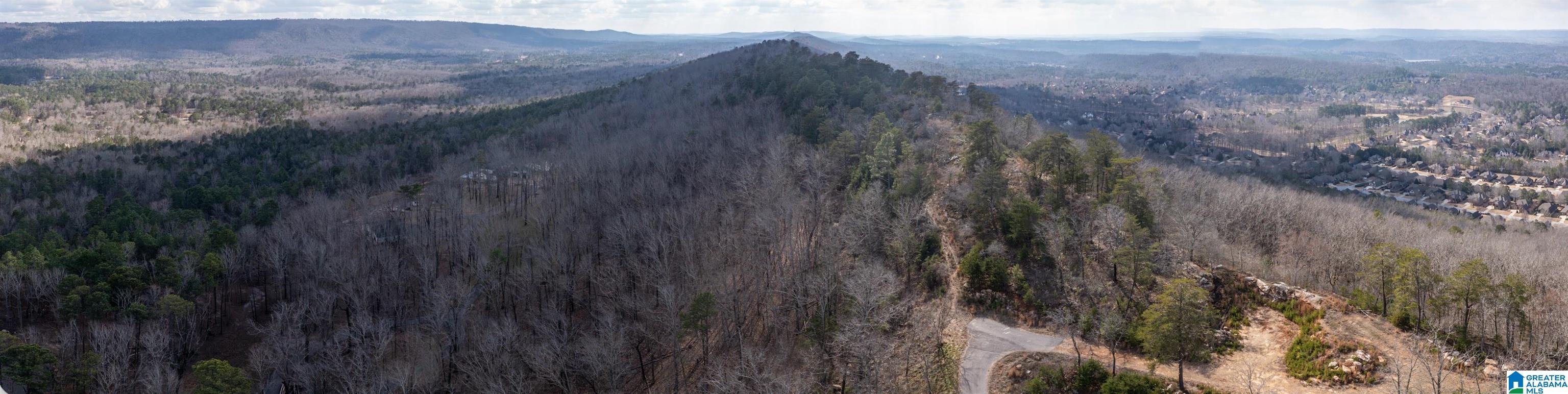 3459 Springstone Trail, Unit LOT 2 Leeds, AL 35094 - Photo 6 of 21 Gallery Image 6