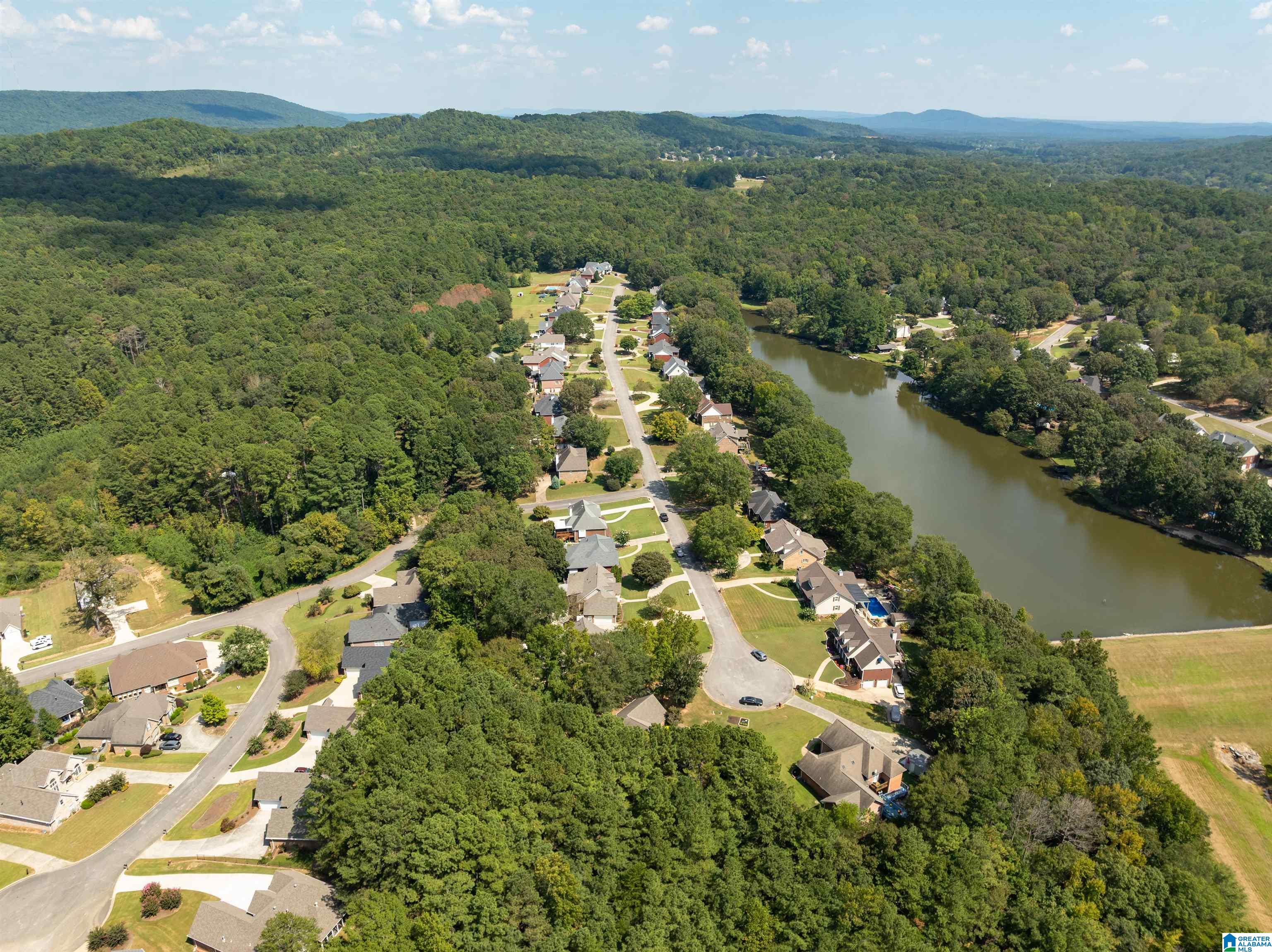 734 Rena Drive Springville, AL 35146 - Photo 50 of 55