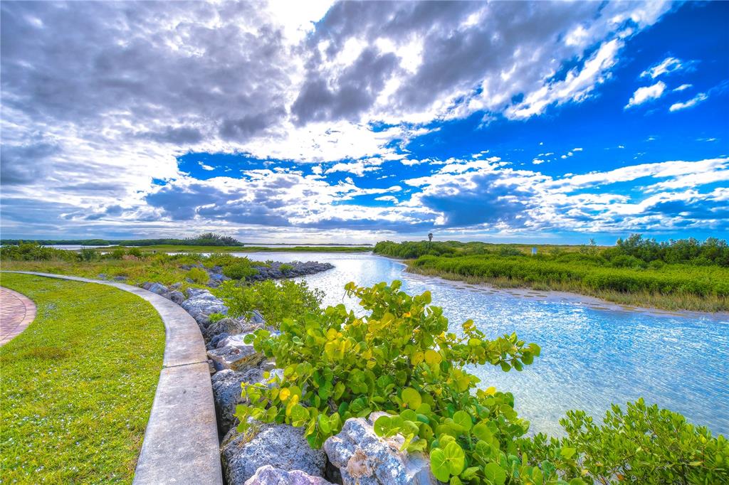 755 Collany Road, Unit 508 St. Petersburg, FL 33715 - Photo 83 of 99 Estuary