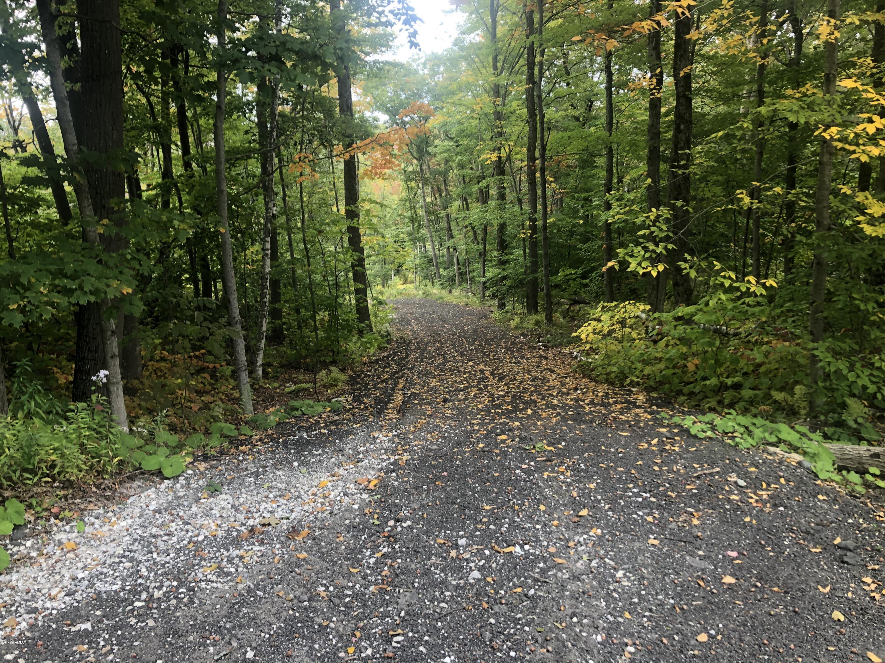 51 Strykers Road Florida, MA 01247 - Photo 2 of 44 a view of a forest with trees