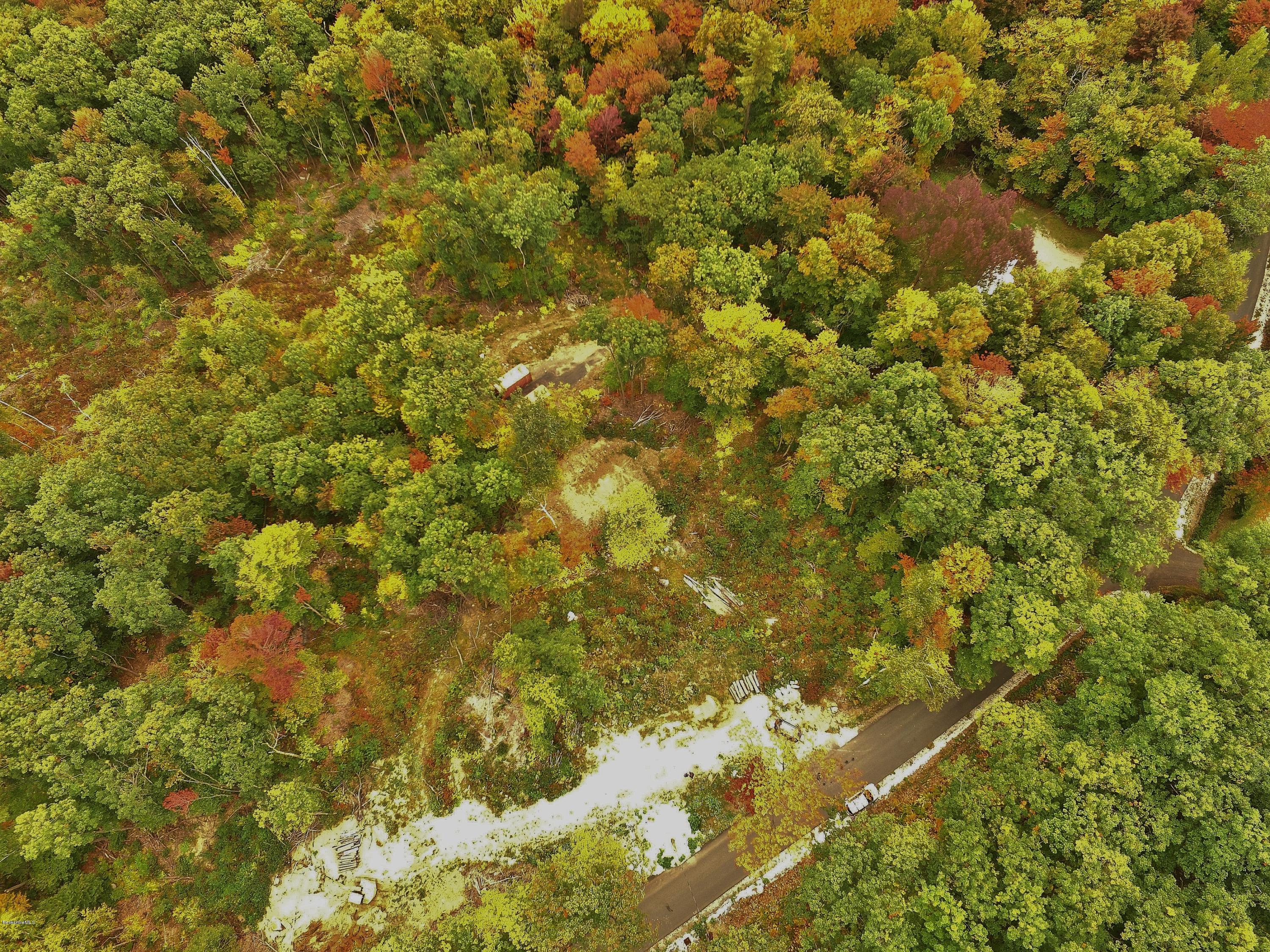 51 Strykers Road Florida, MA 01247 - Photo 14 of 44 a view of a large tree