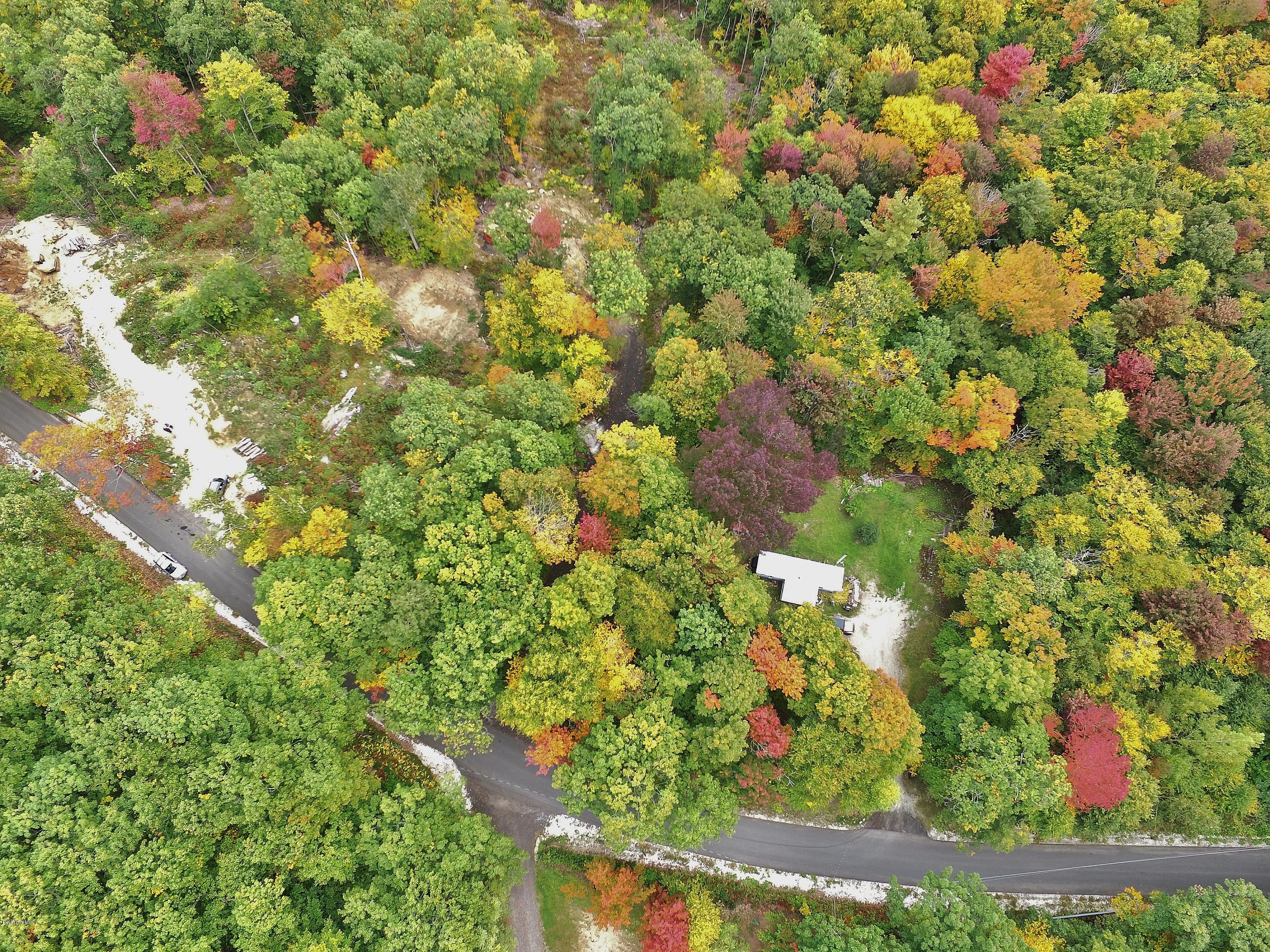 51 Strykers Road Florida, MA 01247 - Photo 18 of 44 a view of a tree with a plant