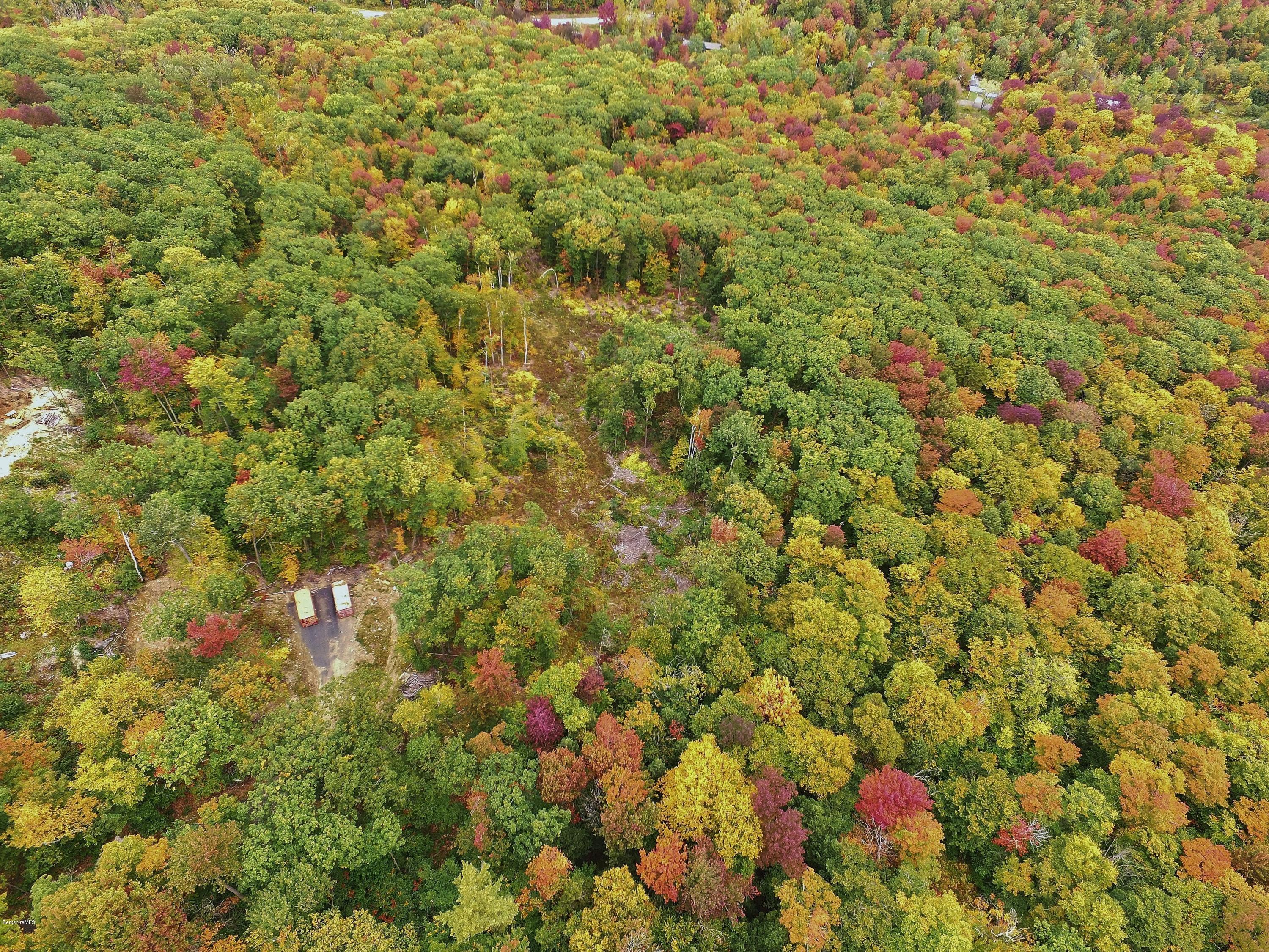 51 Strykers Road Florida, MA 01247 - Photo 20 of 44 a view of a bunch of flowers and trees