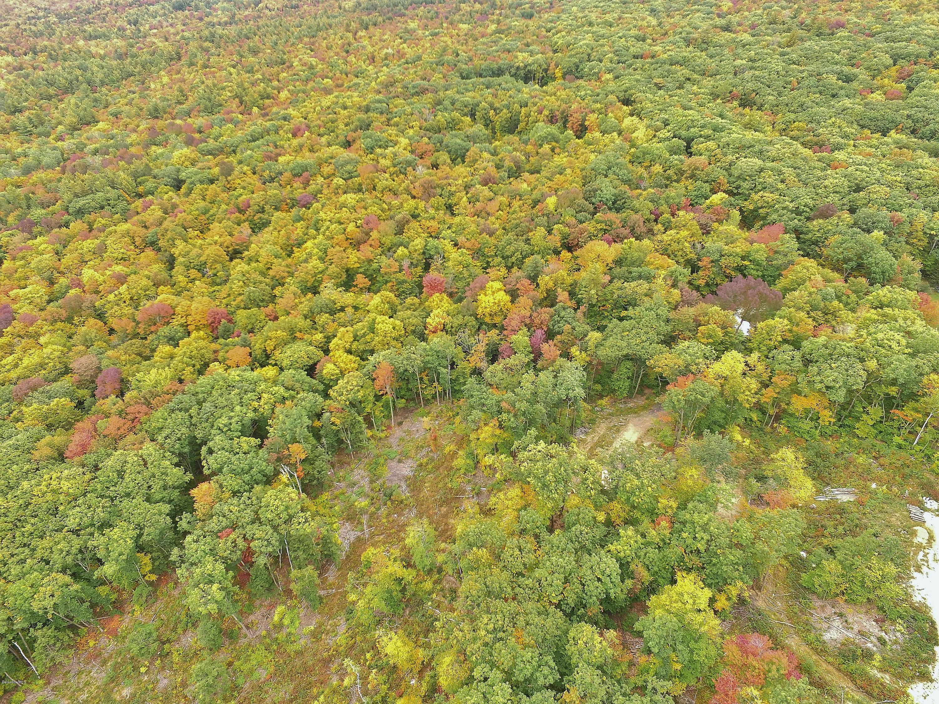 51 Strykers Road Florida, MA 01247 - Photo 31 of 44 a view of a yard