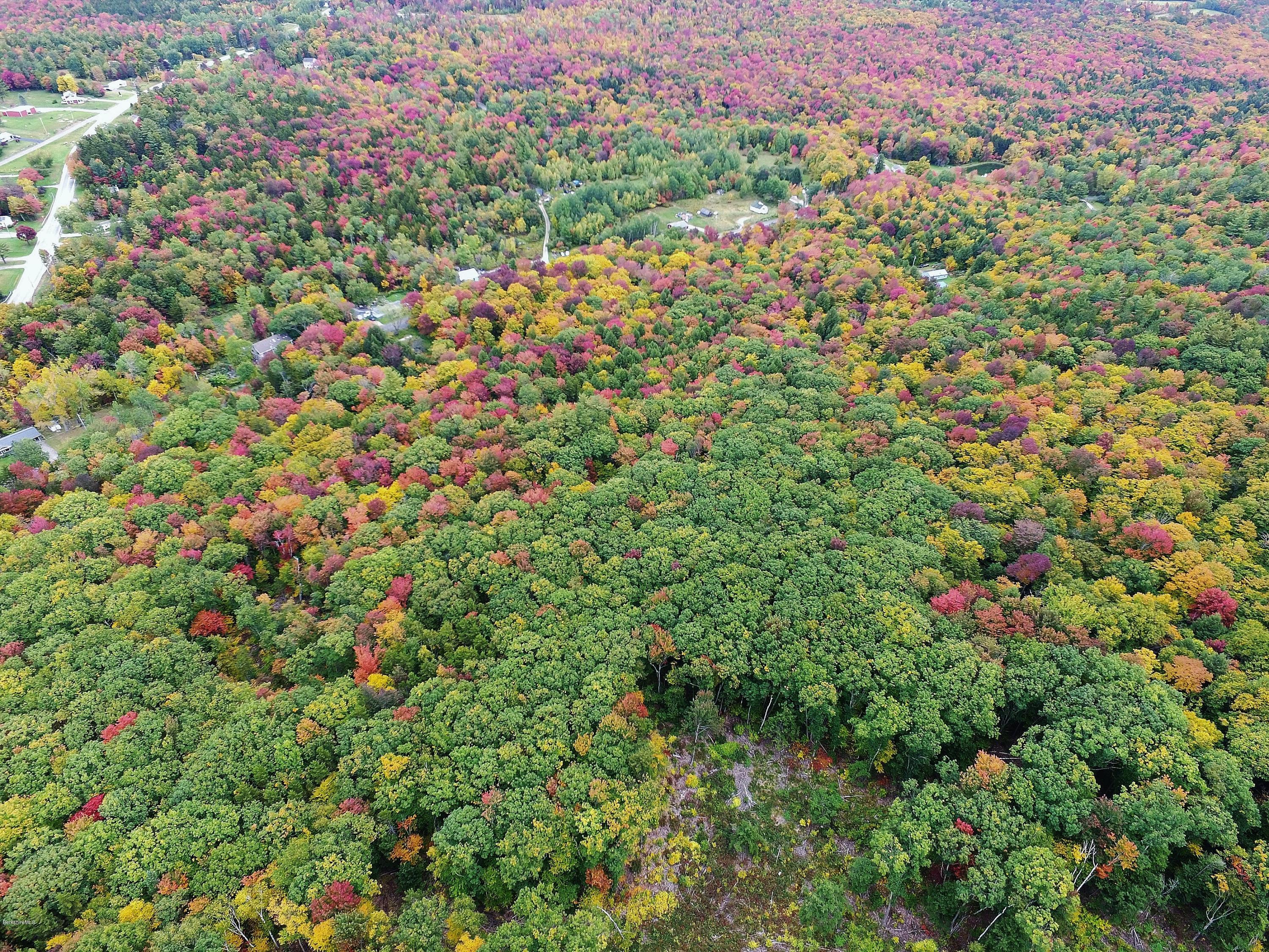 51 Strykers Road Florida, MA 01247 - Photo 35 of 44 a view of a lush green field with a tree