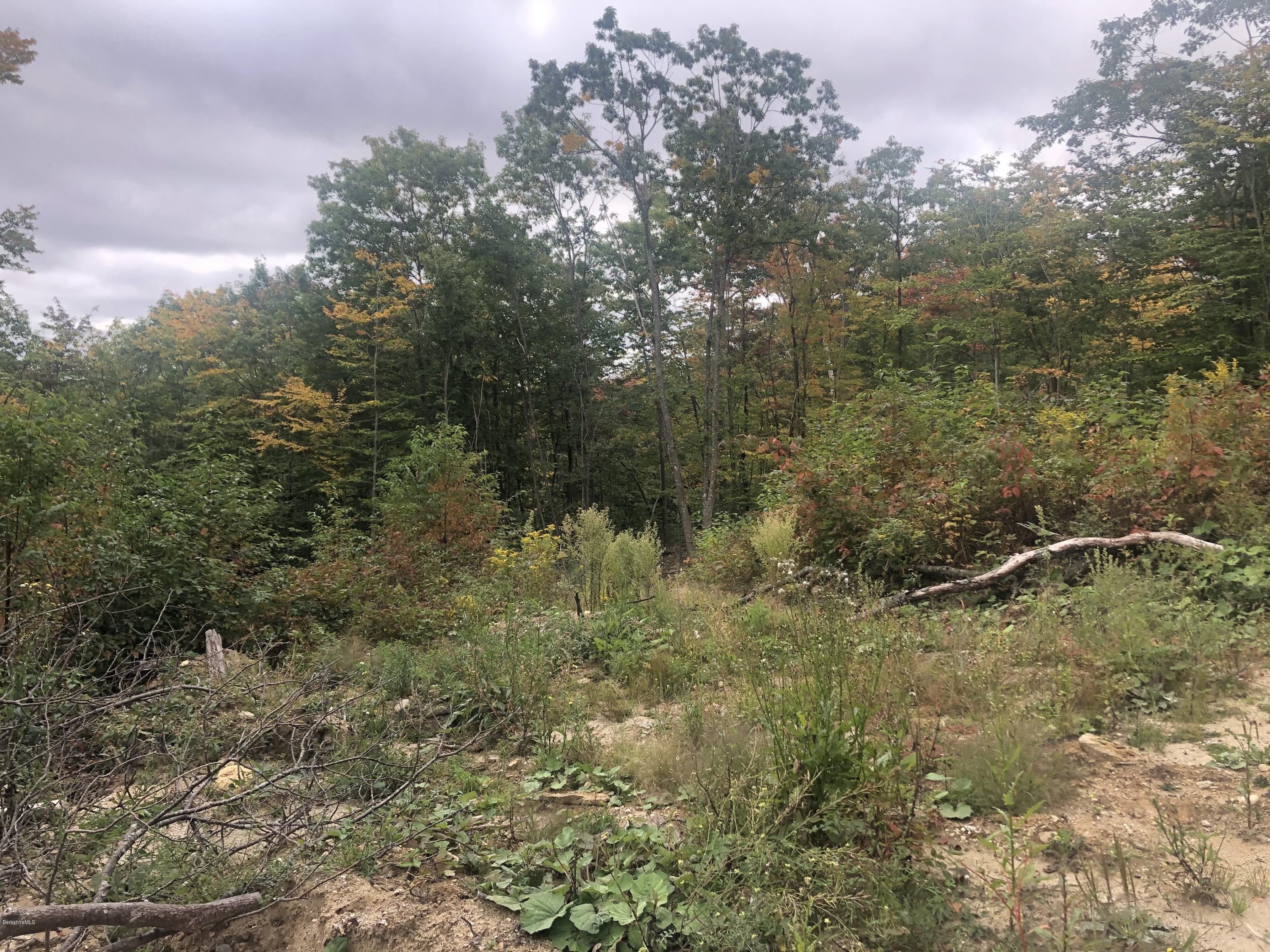 51 Strykers Road Florida, MA 01247 - Photo 5 of 44 a view of a forest with a houses