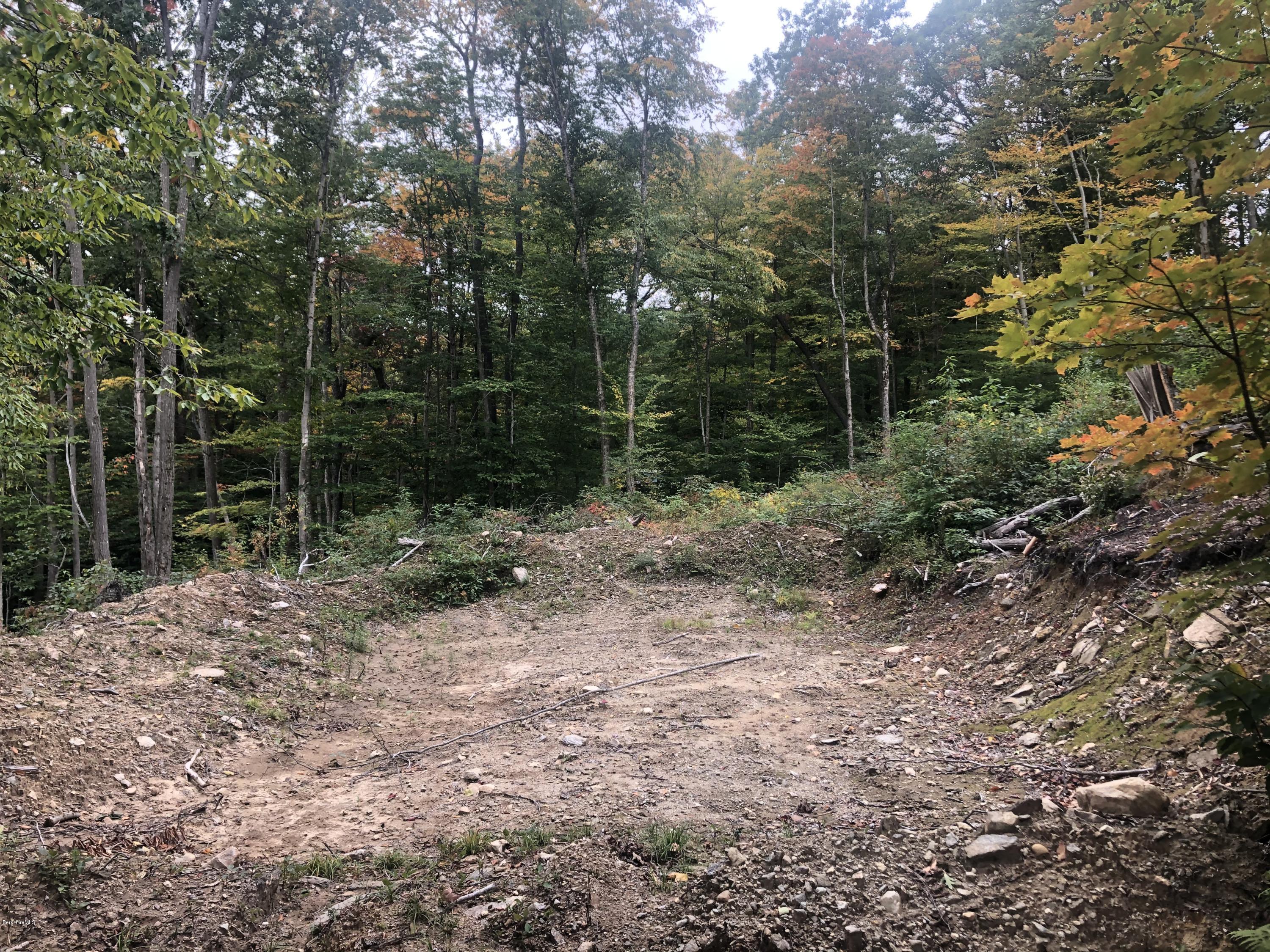 51 Strykers Road Florida, MA 01247 - Photo 7 of 44 a view of a forest with trees